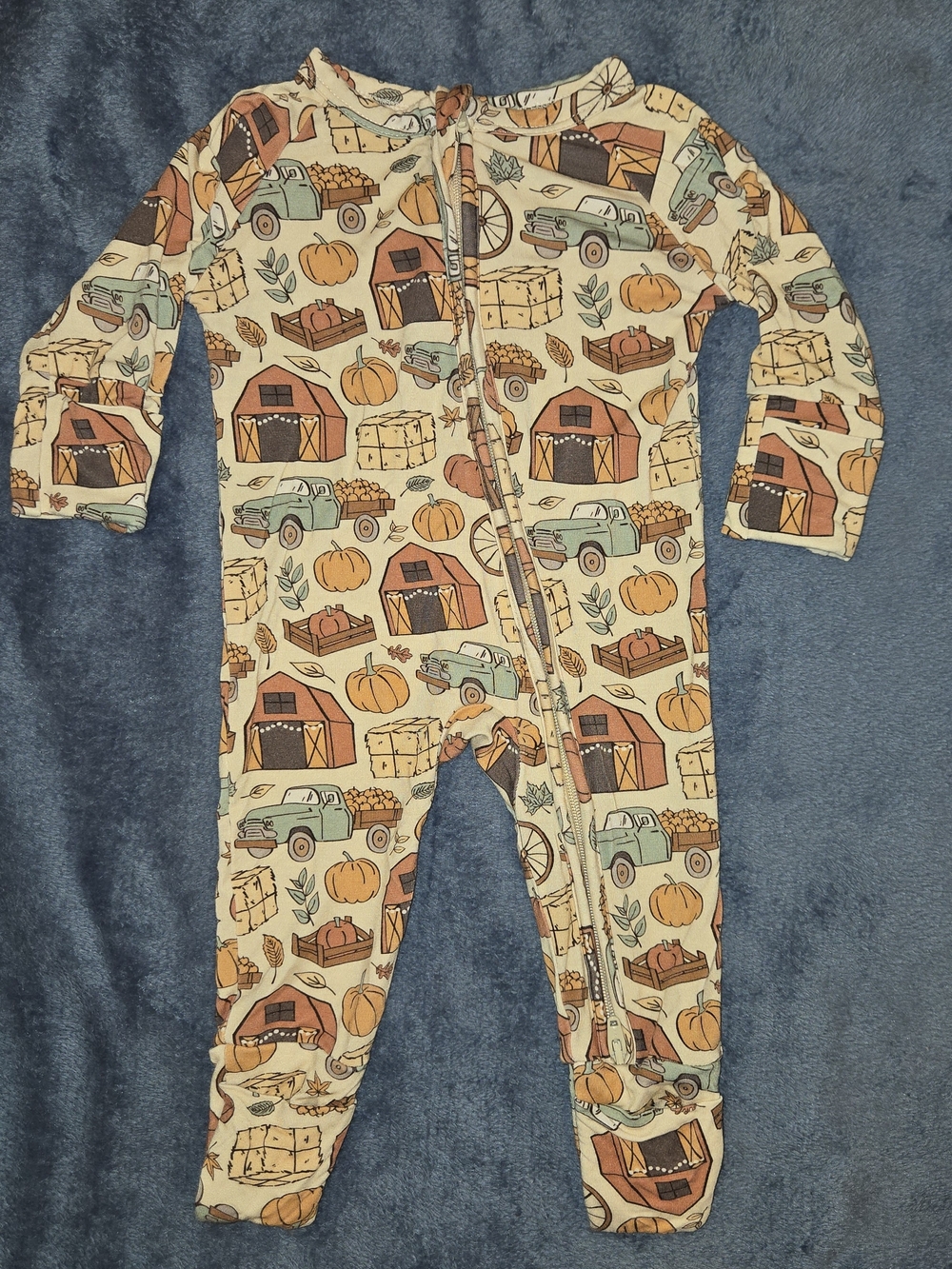 Dream Big Little Co. Havest Themed Bamboo Sleeper
